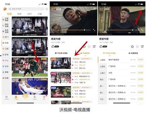 大香蕪国产视频网站,探索本土影视文化的魅力窗口