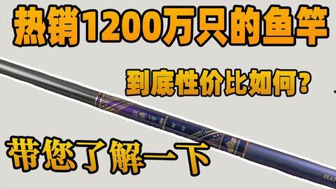 国产入门虫竿测评视频,性能解析与性价比对比