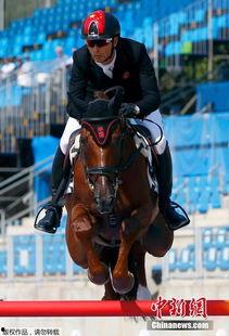 走马术国产动漫视频大全,国产走马术动漫视频盛宴