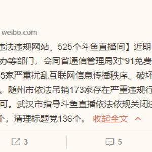 国产拳交在线视频网址,揭秘国内热门视频网站背后的精彩故事