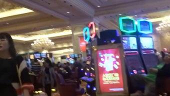 免费国产视频大香港,揭秘港式影视魅力