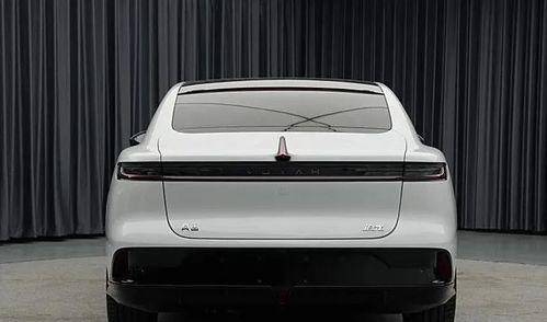 老外坐国产车视频在线,老外体验国产车，直言惊喜连连