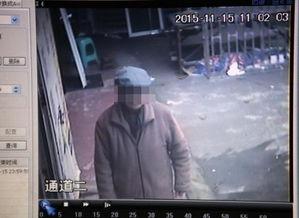 国产开禧85视频,探寻中国古典美学的现代演绎