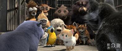 猫国产动漫电影大全视频,萌宠风采，奇幻之旅