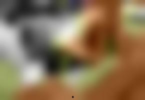 国产欧洲最新视频,最新视频引热议! 第2张 国产欧洲最新视频,最新视频引热议! 第2张